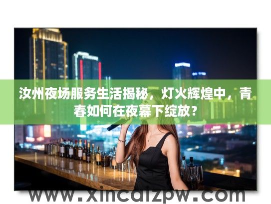 汝州夜场服务生活揭秘，灯火辉煌中，青春如何在夜幕下绽放？