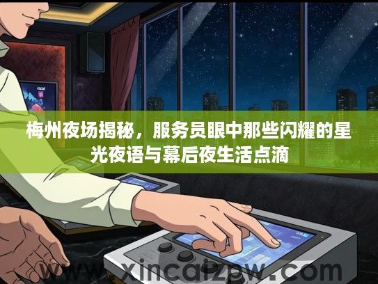 梅州夜场揭秘，服务员眼中那些闪耀的星光夜语与幕后夜生活点滴