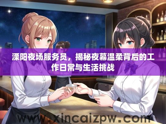 溧阳夜场服务员,揭秘夜幕温柔背后的工作日常与生活挑战 溧阳夜场服务员,揭秘夜幕温柔背后的工作日常与生活挑战