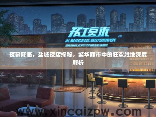 夜幕降临，盐城夜店探秘，繁华都市中的狂欢胜地深度解析