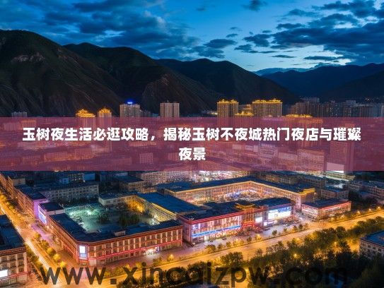 玉树夜生活必逛攻略，揭秘玉树不夜城热门夜店与璀璨夜景