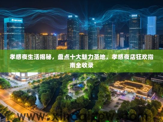 孝感夜生活揭秘，盘点十大魅力圣地，孝感夜店狂欢指南全收录