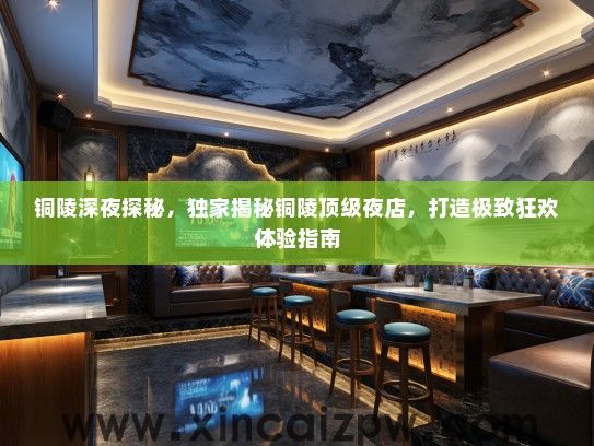 铜陵深夜探秘，独家揭秘铜陵顶级夜店，打造极致狂欢体验指南