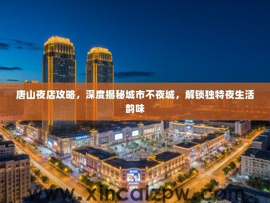 唐山夜店攻略，深度揭秘城市不夜城，解锁独特夜生活韵味