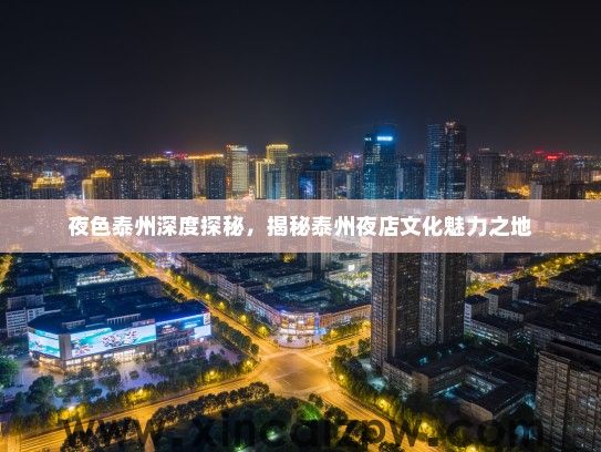 夜色泰州深度探秘，揭秘泰州夜店文化魅力之地