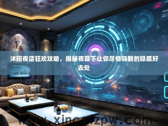 沭阳夜店狂欢攻略，揭秘夜幕下让你尽情嗨翻的隐藏好去处