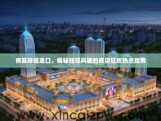 夜幕降临龙口，揭秘独领风骚的夜店狂欢热点指南