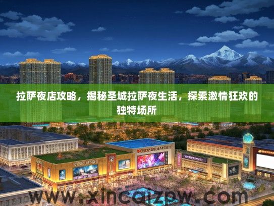 拉萨夜店攻略，揭秘圣城拉萨夜生活，探索激情狂欢的独特场所