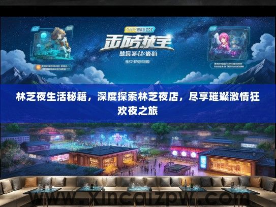 林芝夜生活秘籍，深度探索林芝夜店，尽享璀璨激情狂欢夜之旅