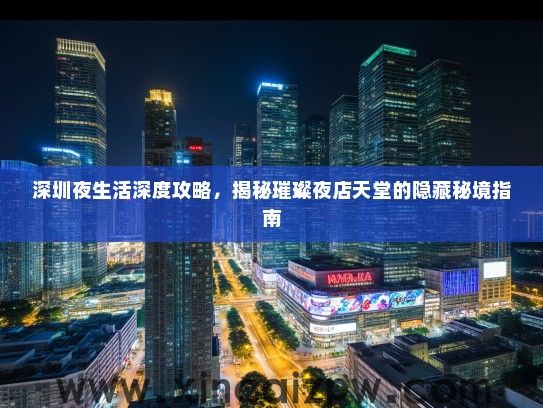 深圳夜生活深度攻略，揭秘璀璨夜店天堂的隐藏秘境指南