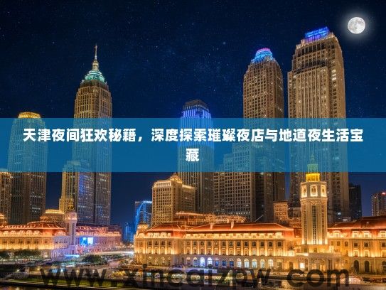 天津夜间狂欢秘籍，深度探索璀璨夜店与地道夜生活宝藏
