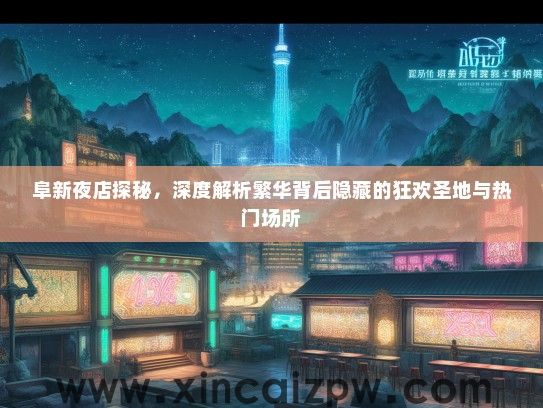 阜新夜店探秘，深度解析繁华背后隐藏的狂欢圣地与热门场所