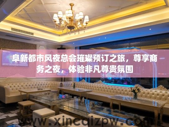 阜新都市风夜总会璀璨预订之旅，尊享商务之夜，体验非凡尊贵氛围