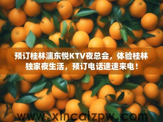 预订桂林漓东悦KTV夜总会，体验桂林独家夜生活，预订电话速速来电！