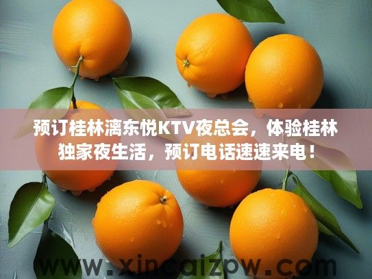 预订桂林漓东悦KTV夜总会，体验桂林独家夜生活，预订电话速速来电！