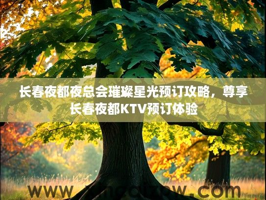 长春夜都夜总会璀璨星光预订攻略，尊享长春夜都KTV预订体验