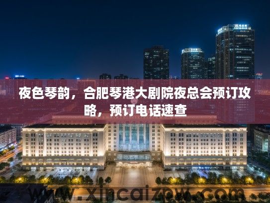 夜色琴韵,合肥琴港大剧院夜总会预订攻略,预订电话速查 夜色琴韵,合肥琴港大剧院夜总会预订攻略,预订电话速查
