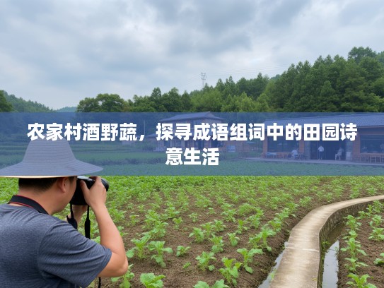 农家村酒野蔬，探寻成语组词中的田园诗意生活