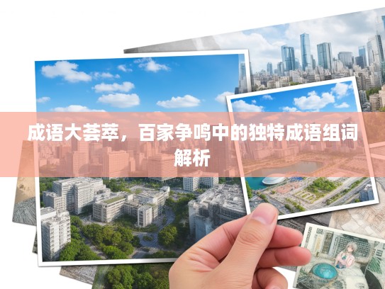 成语大荟萃，百家争鸣中的独特成语组词解析