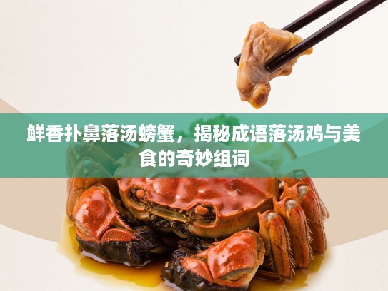 鲜香扑鼻落汤螃蟹，揭秘成语落汤鸡与美食的奇妙组词