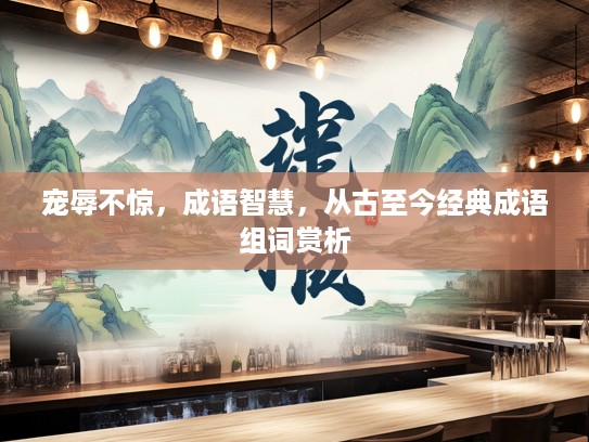 宠辱不惊，成语智慧，从古至今经典成语组词赏析