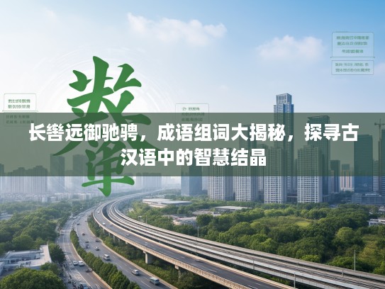 长辔远御驰骋，成语组词大揭秘，探寻古汉语中的智慧结晶