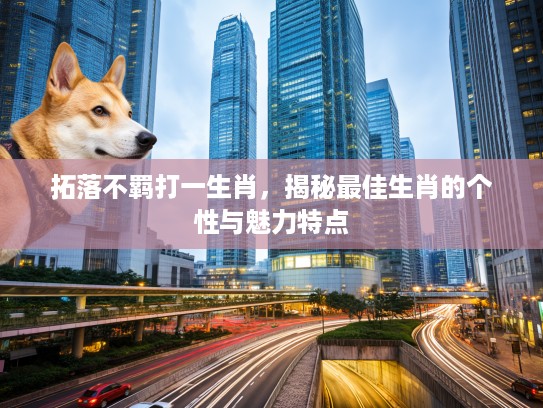 拓落不羁打一生肖，揭秘最佳生肖的个性与魅力特点