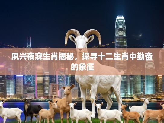 夙兴夜寐生肖揭秘，探寻十二生肖中勤奋的象征