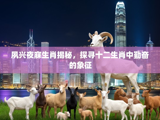 夙兴夜寐生肖揭秘，探寻十二生肖中勤奋的象征