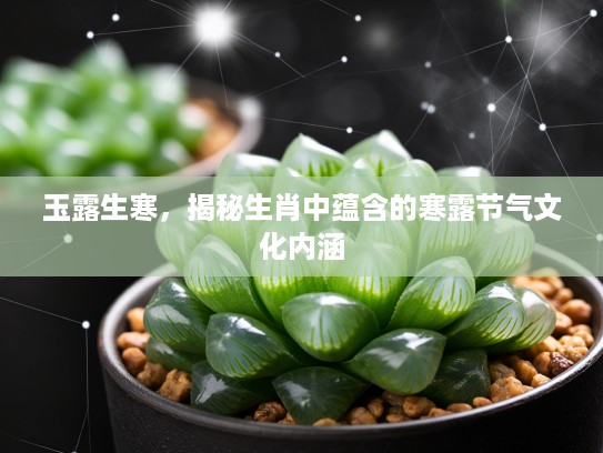 玉露生寒，揭秘生肖中蕴含的寒露节气文化内涵