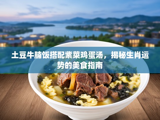 土豆牛腩饭搭配紫菜鸡蛋汤，揭秘生肖运势的美食指南