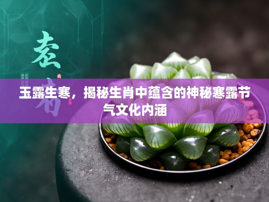 玉露生寒，揭秘生肖中蕴含的神秘寒露节气文化内涵