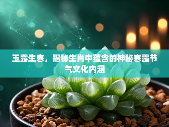 玉露生寒，揭秘生肖中蕴含的神秘寒露节气文化内涵