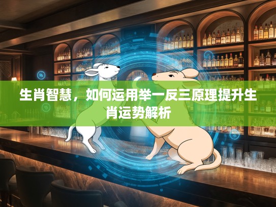 生肖智慧，如何运用举一反三原理提升生肖运势解析