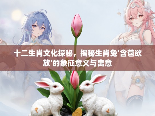 十二生肖文化探秘，揭秘生肖兔‘含苞欲放’的象征意义与寓意
