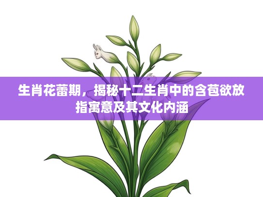 生肖花蕾期，揭秘十二生肖中的含苞欲放指寓意及其文化内涵