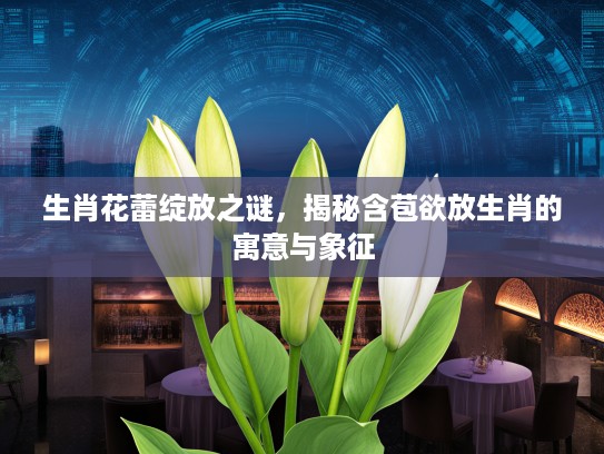 生肖花蕾绽放之谜，揭秘含苞欲放生肖的寓意与象征