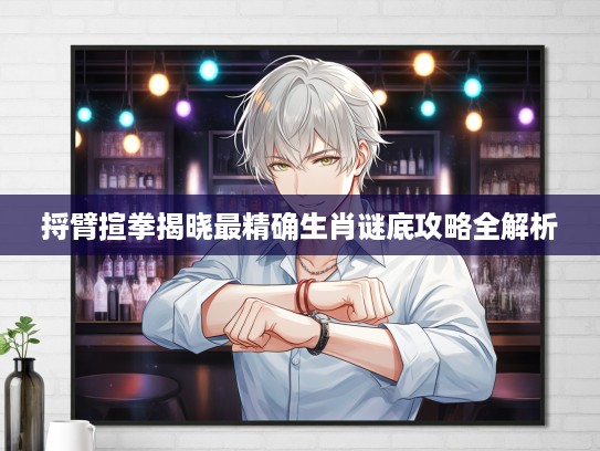 捋臂揎拳揭晓最精确生肖谜底攻略全解析