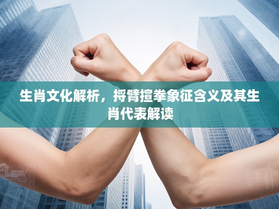 生肖文化解析，捋臂揎拳象征含义及其生肖代表解读