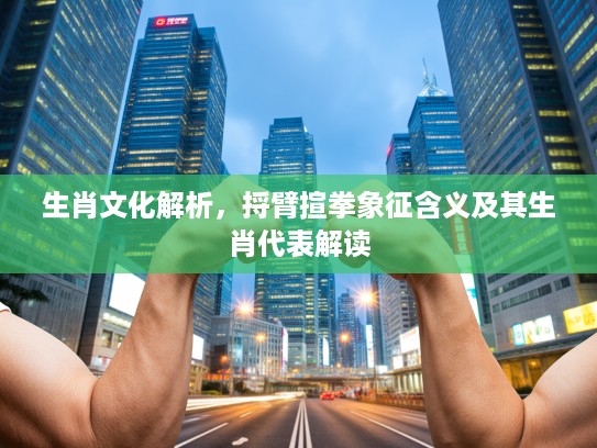 生肖文化解析，捋臂揎拳象征含义及其生肖代表解读