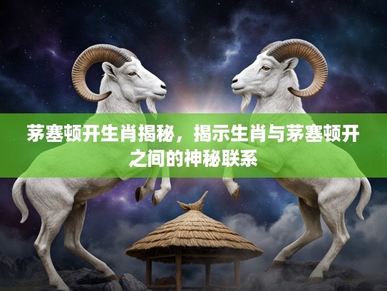 茅塞顿开生肖揭秘，揭示生肖与茅塞顿开之间的神秘联系