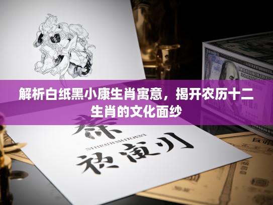 解析白纸黑小康生肖寓意，揭开农历十二生肖的文化面纱