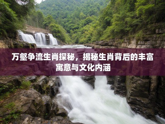 万壑争流生肖探秘，揭秘生肖背后的丰富寓意与文化内涵