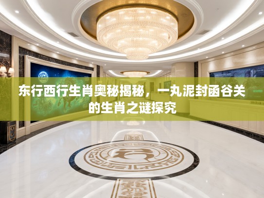 东行西行生肖奥秘揭秘，一丸泥封函谷关的生肖之谜探究