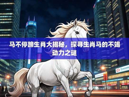 马不停蹄生肖大揭秘，探寻生肖马的不竭动力之谜