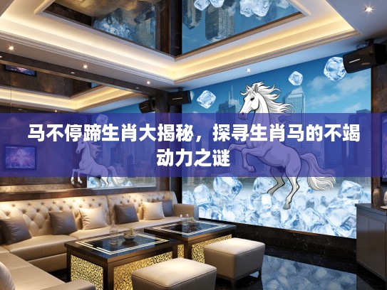 马不停蹄生肖大揭秘，探寻生肖马的不竭动力之谜