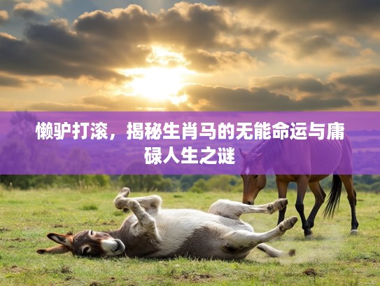 懒驴打滚，揭秘生肖马的无能命运与庸碌人生之谜