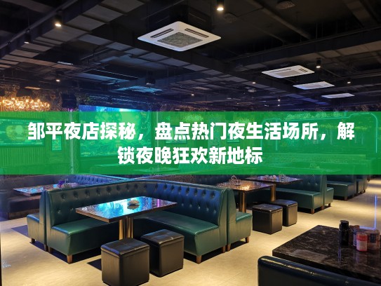 邹平夜店探秘，盘点热门夜生活场所，解锁夜晚狂欢新地标