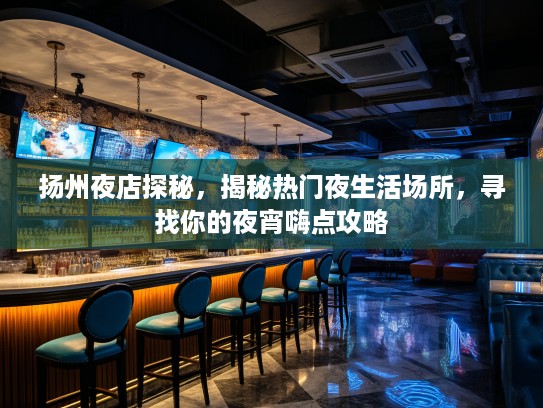 扬州夜店探秘，揭秘热门夜生活场所，寻找你的夜宵嗨点攻略