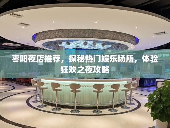 枣阳夜店推荐，探秘热门娱乐场所，体验狂欢之夜攻略